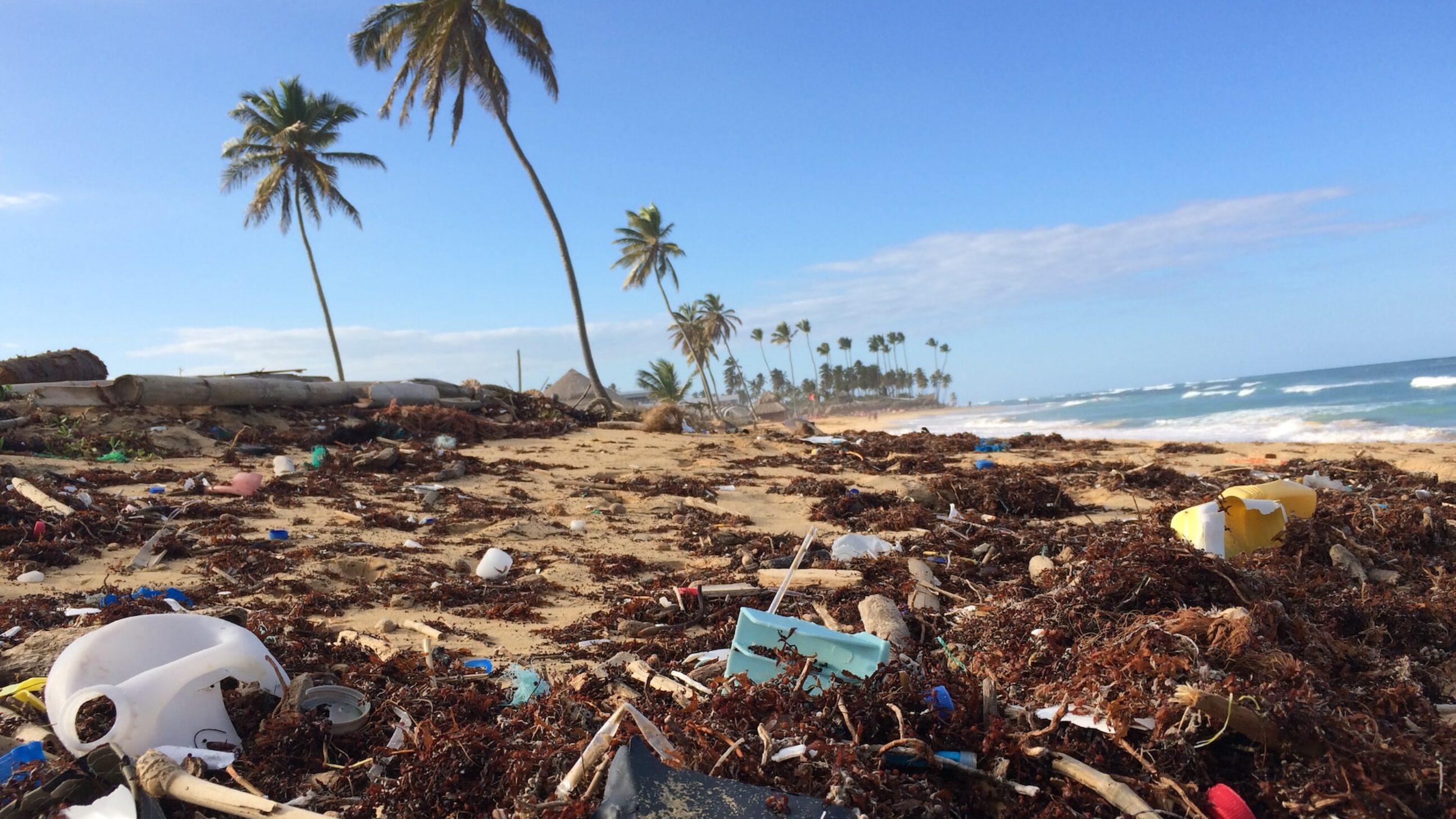Environmental charity