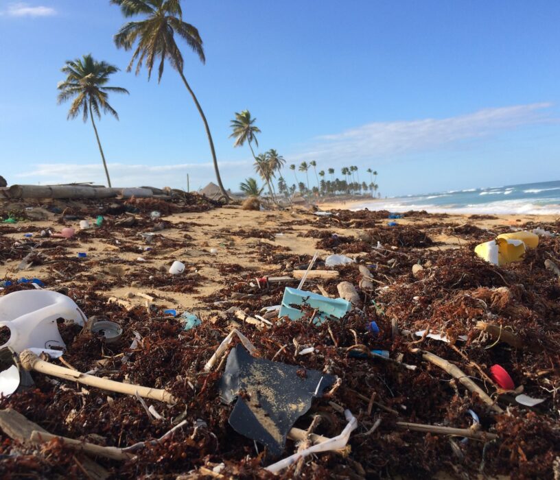 Environmental charity
